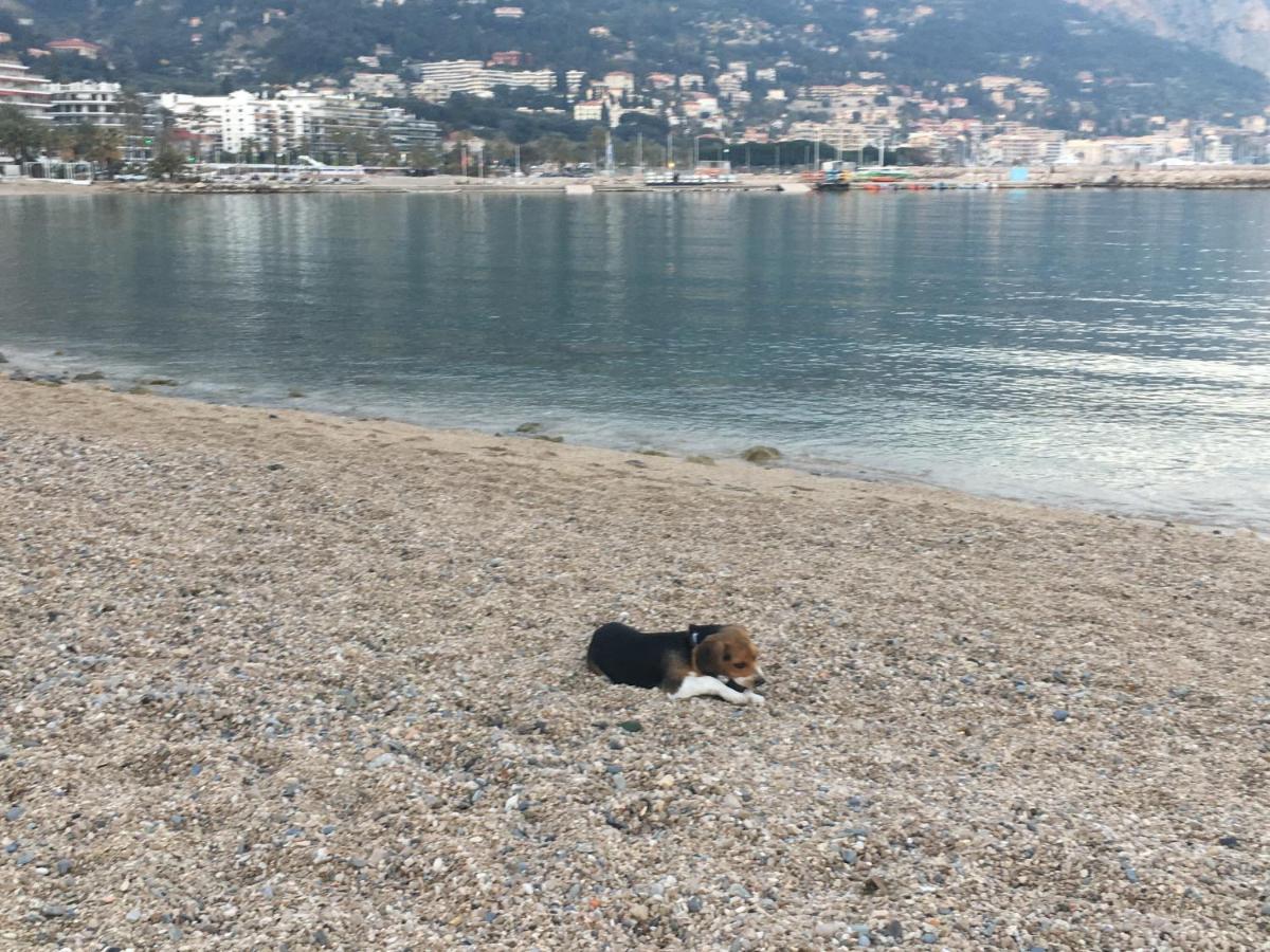 Appartement Maroelvi Menton