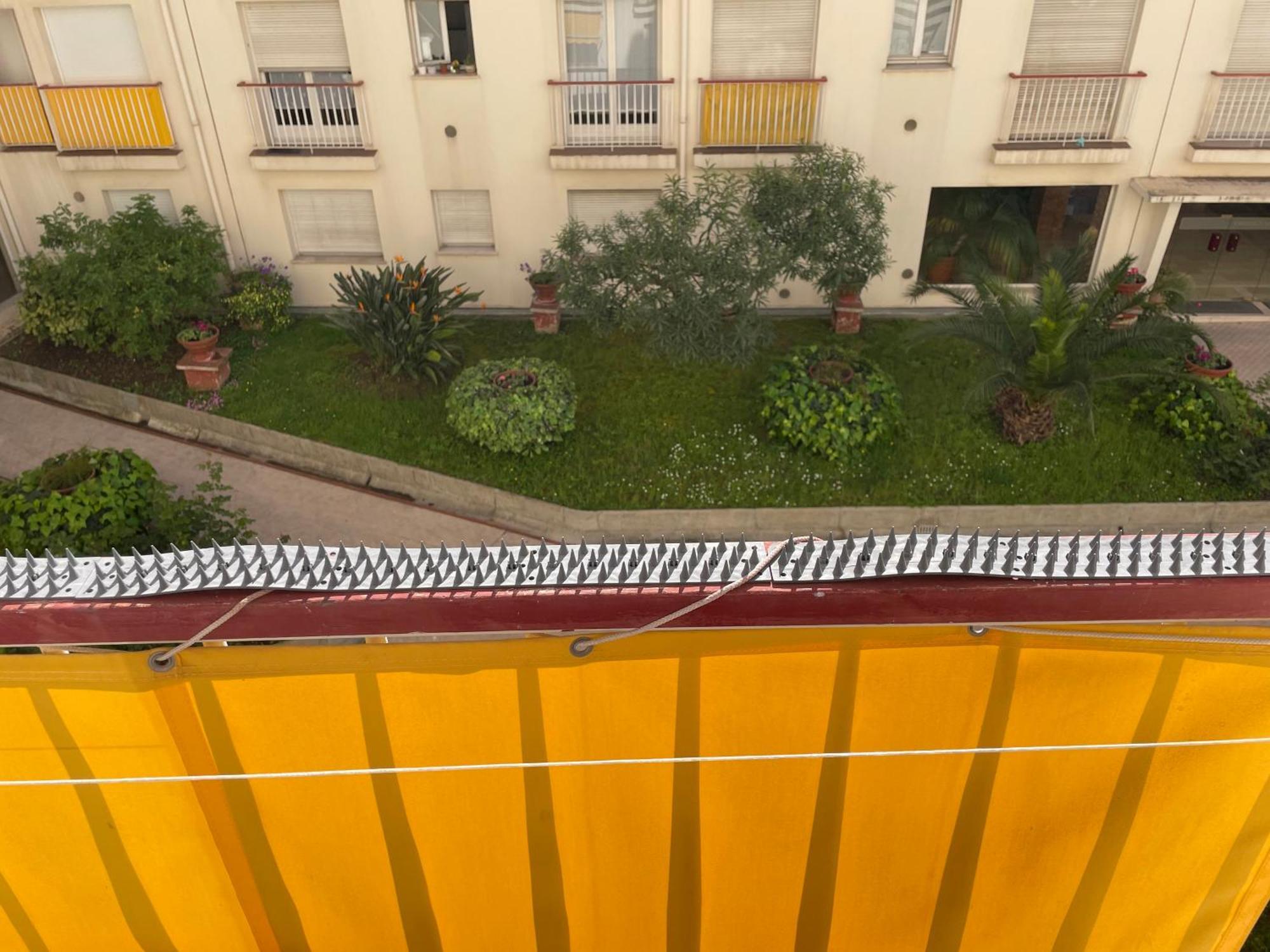 Appartement Maroelvi *